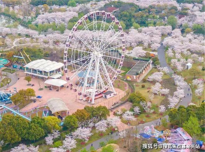 2024中建山水雅境(售楼处电话)官方网站-楼盘百科-上海房天下(图15) 2024中建山水雅境(售楼处电话)官方网站-楼盘百科-上海房天下(图15)