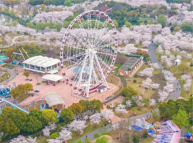 中建山水雅境(2024中建山水雅境)官方网站-+开盘时间地点(图13)