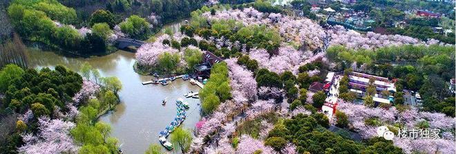 中建山水雅境(售楼处电线官方网站-山水雅境-房天下(图9)