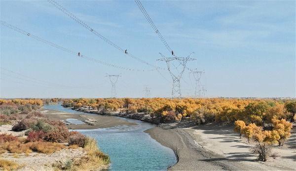 聚焦重点工程|我国沙漠线千伏输变电工程建成投运 将有力支撑新疆第三条交流、第四条直流外送通道建设(图3) 聚焦重点工程|我国沙漠线千伏输变电工程建成投运 将有力支撑新疆第三条交流、第四条直流外送通道建设(图3)