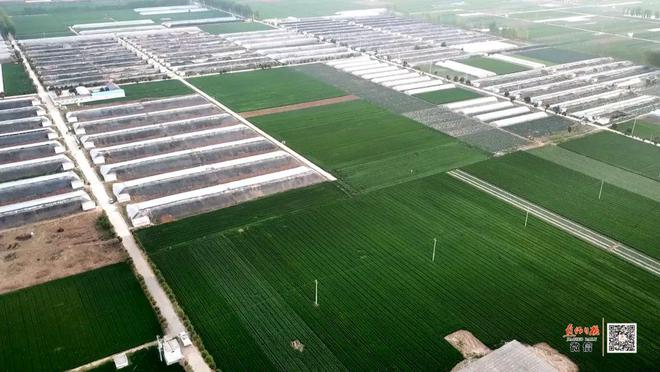 博爱县:工业扩量 农业提质 文旅增效 在高质量发展航道上加速前行(图11) 博爱县:工业扩量 农业提质 文旅增效 在高质量发展航道上加速前行(图11)