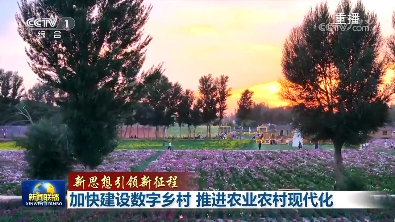 【新思想引领新征程】加快建设数字乡村 推进农业农村现代化(图2) 【新思想引领新征程】加快建设数字乡村 推进农业农村现代化(图2)