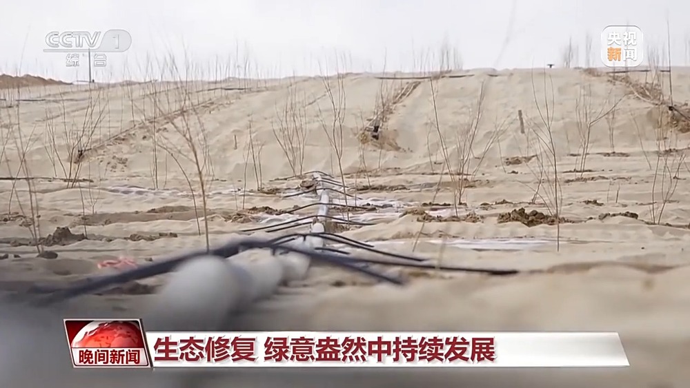 多维度 很亮眼!我国绿色发展交答卷(图7) 多维度 很亮眼!我国绿色发展交答卷(图7)